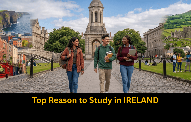 Study in IRELAND