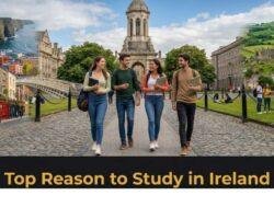 Study in Ireland