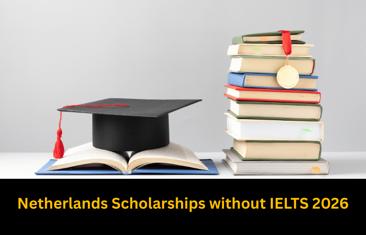 Netherlands Scholarships without IELTS