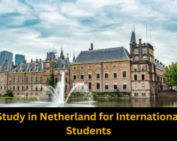 Study in netherlands