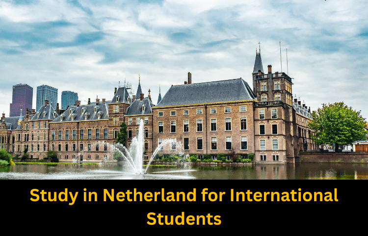 Study in netherland
