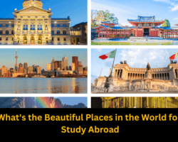 Study Abroad