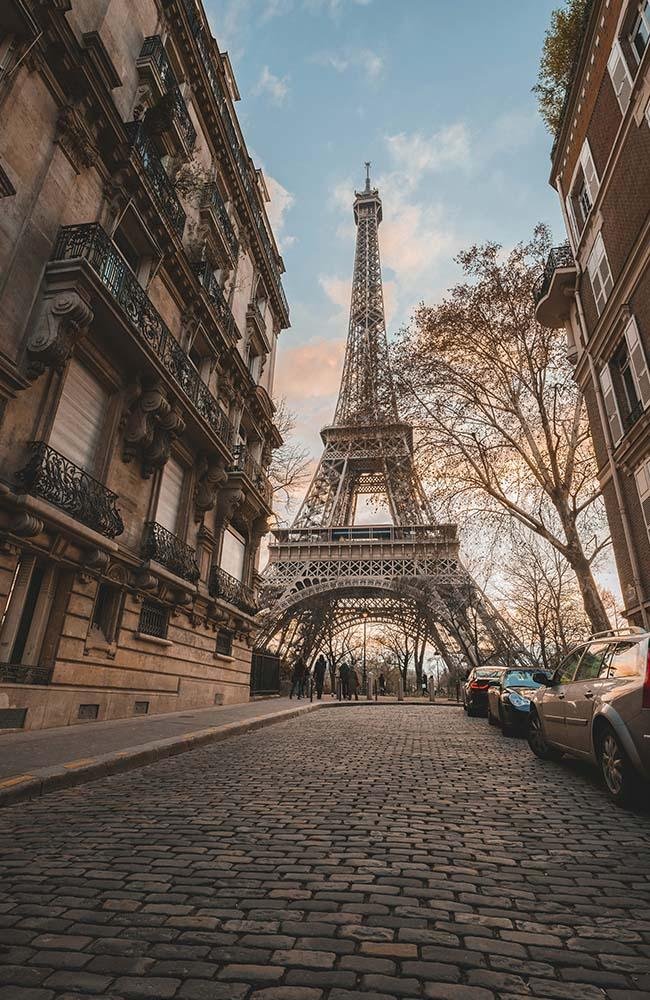Study in France