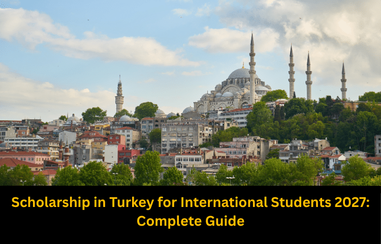 Scholarships in Turkey
